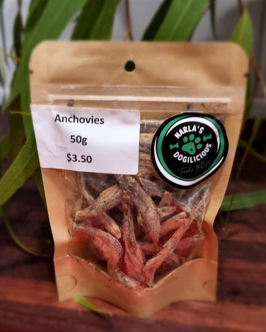 Anchovies