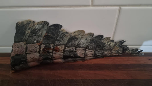 Crocodile Tails