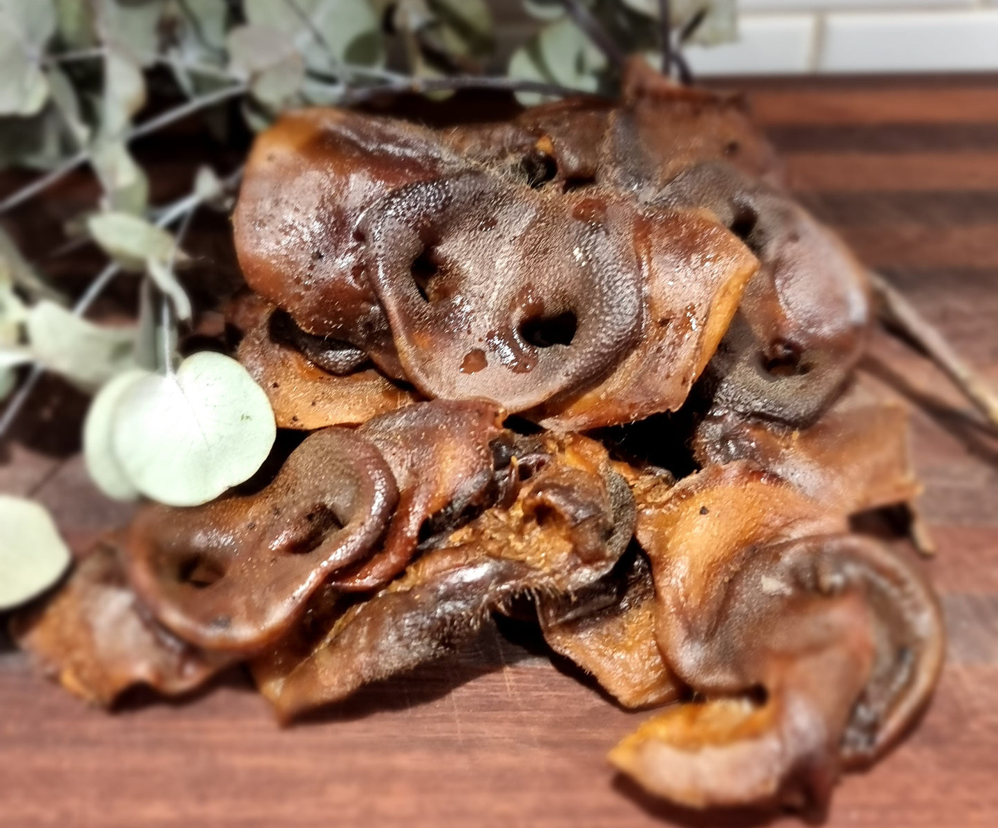 Pig Snouts